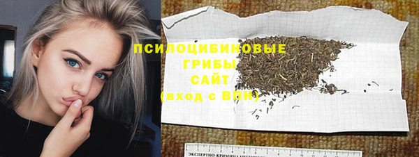 молекула духа Абинск