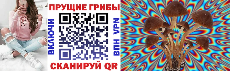 Псилоцибиновые грибы мицелий  продажа наркотиков  Черемхово 