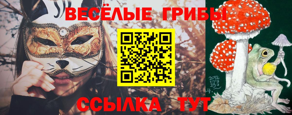 Псилоцибиновые грибы ЛСД  Вход с VPN  Черемхово 