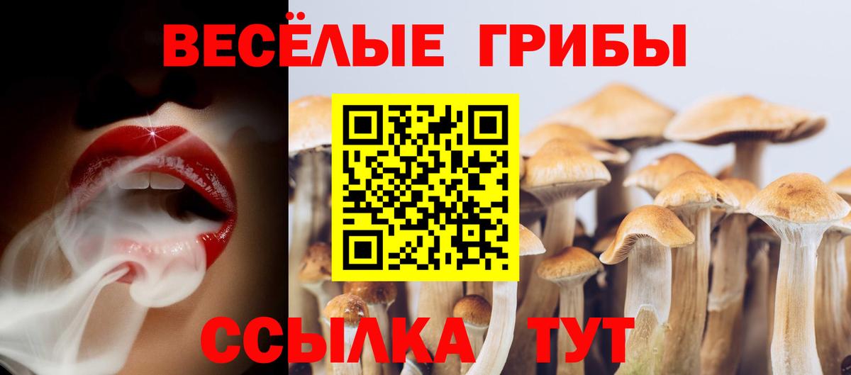 Псилоцибиновые грибы GOLDEN TEACHER Черемхово